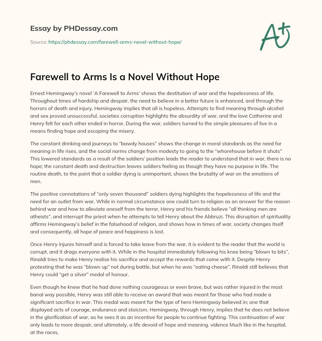 Farewell to Arms Is a Novel Without Hope essay