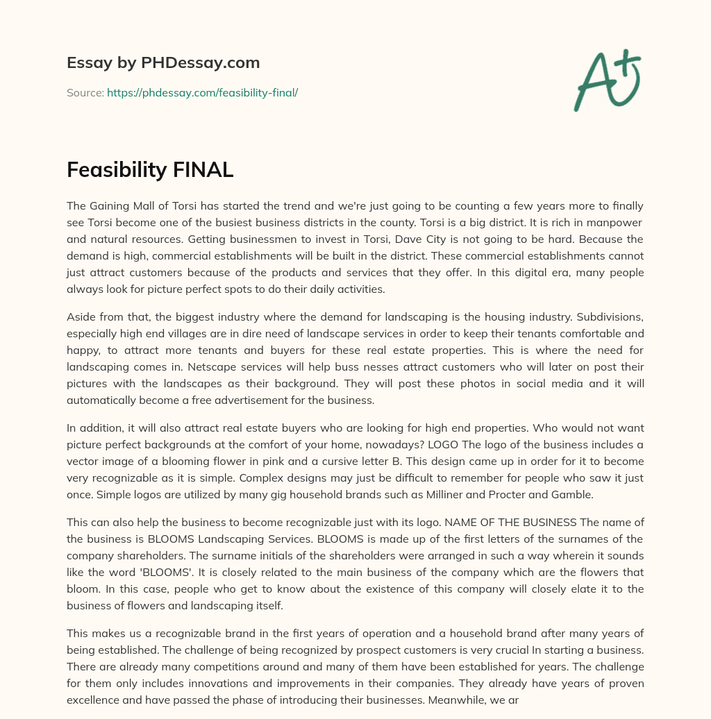 Feasibility FINAL essay
