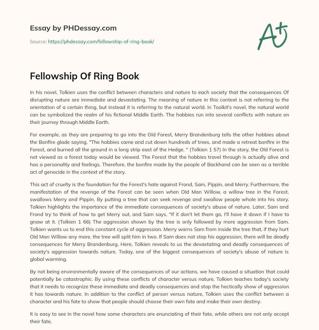 Fellowship Of Ring Book essay