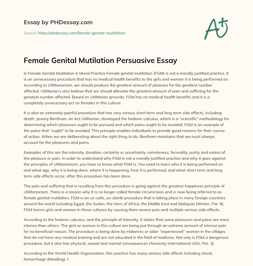 Female Genital Mutilation Persuasive Essay essay