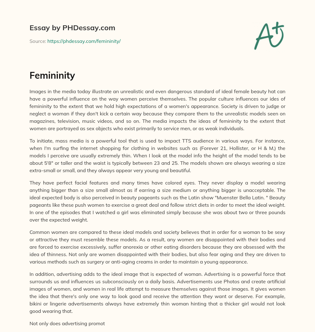 The Unrealistic and Dangerous Standard of Ideal Female Beauty Portrayed in Mass Media essay
