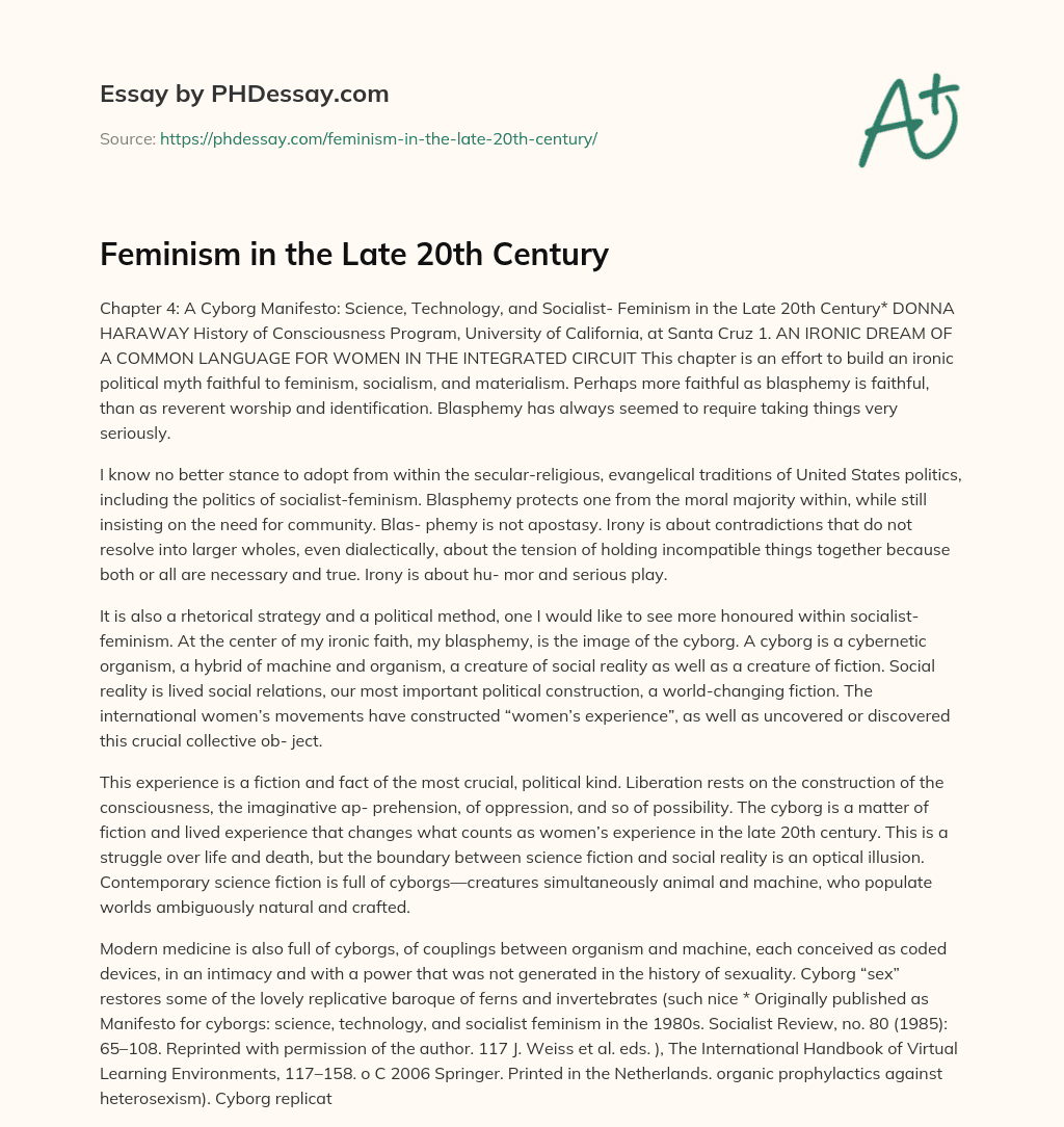 Feminism in the Late 20th Century essay