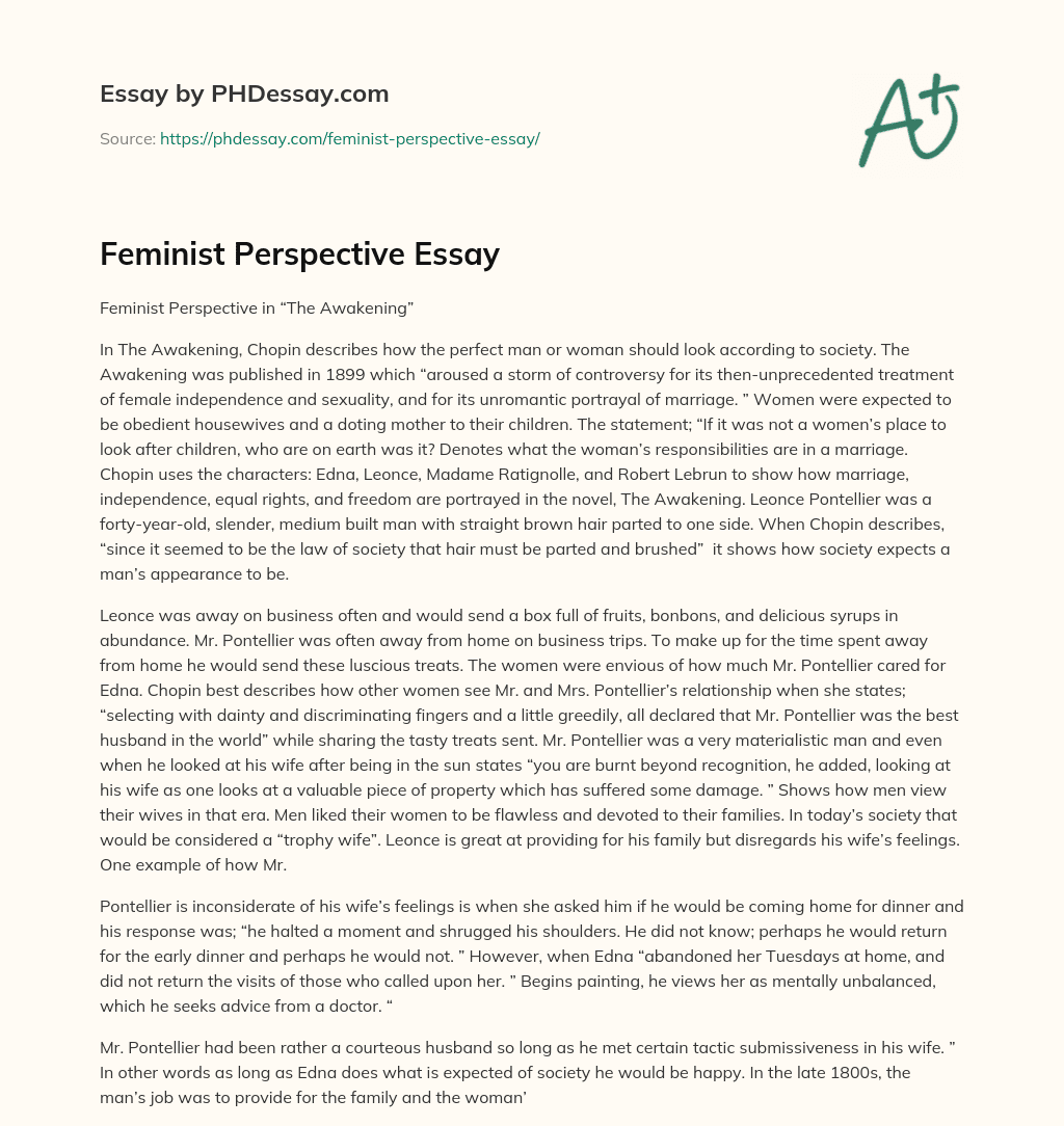 Feminist Perspective Essay essay
