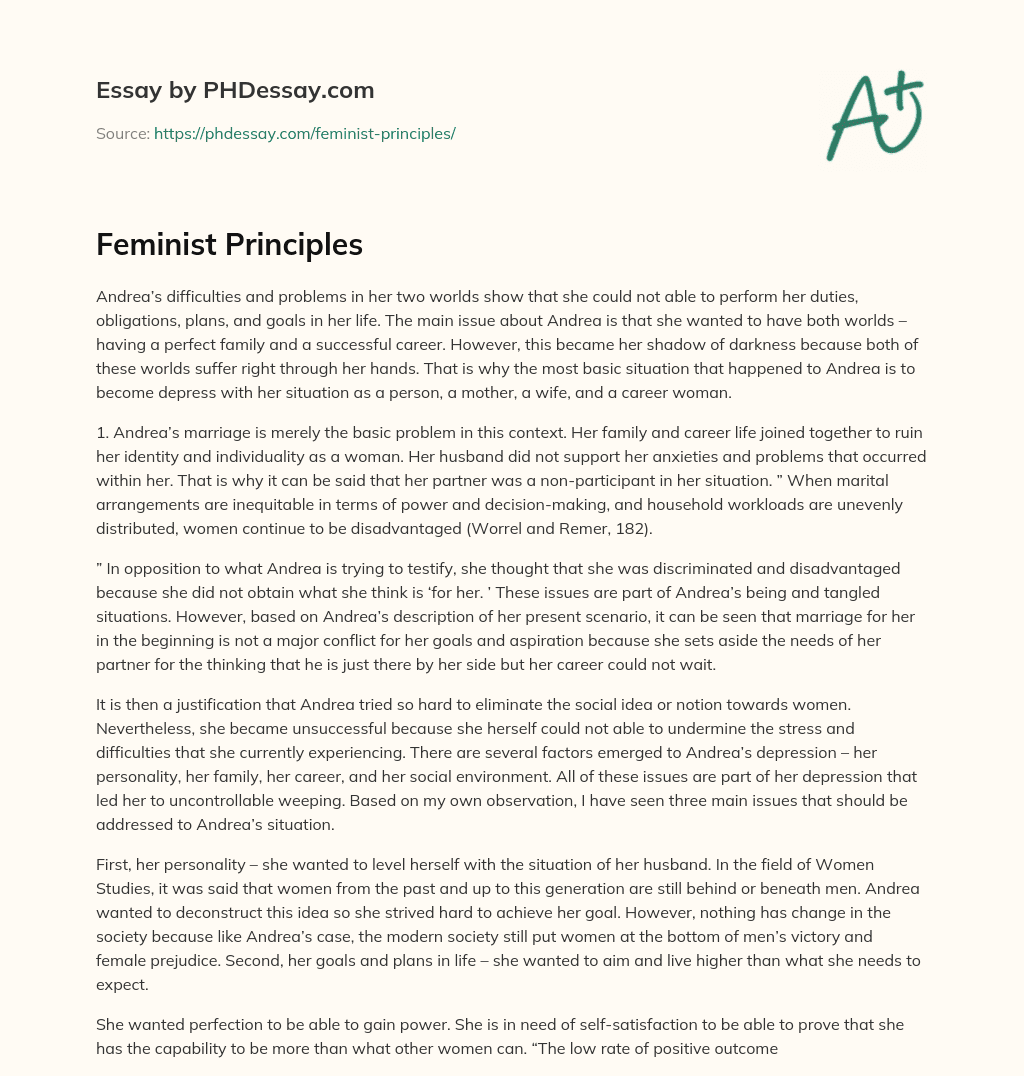 Feminist Principles essay
