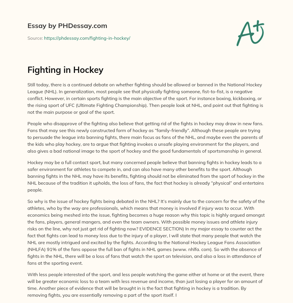 Fighting in Hockey essay