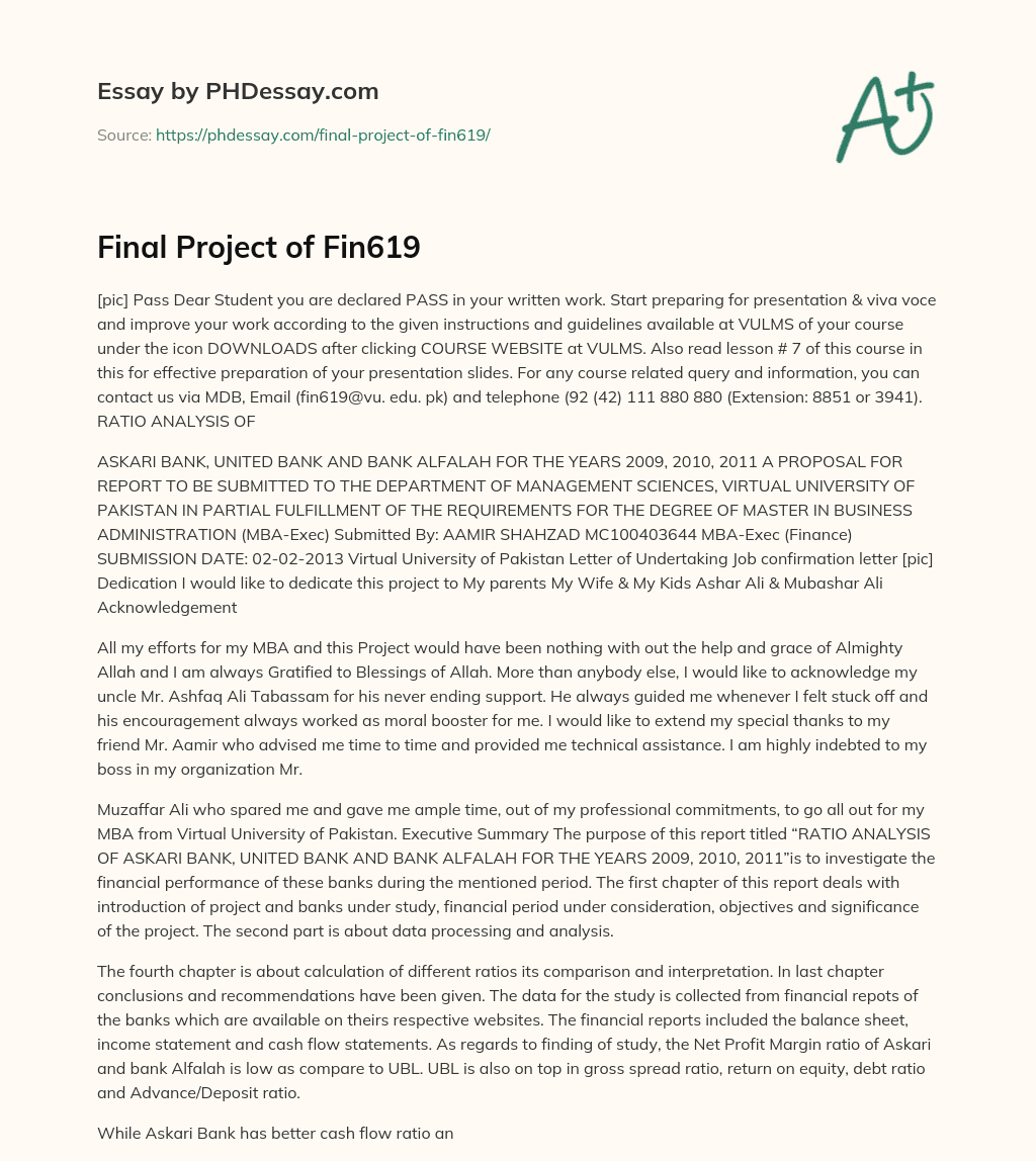 Final Project of Fin619 essay