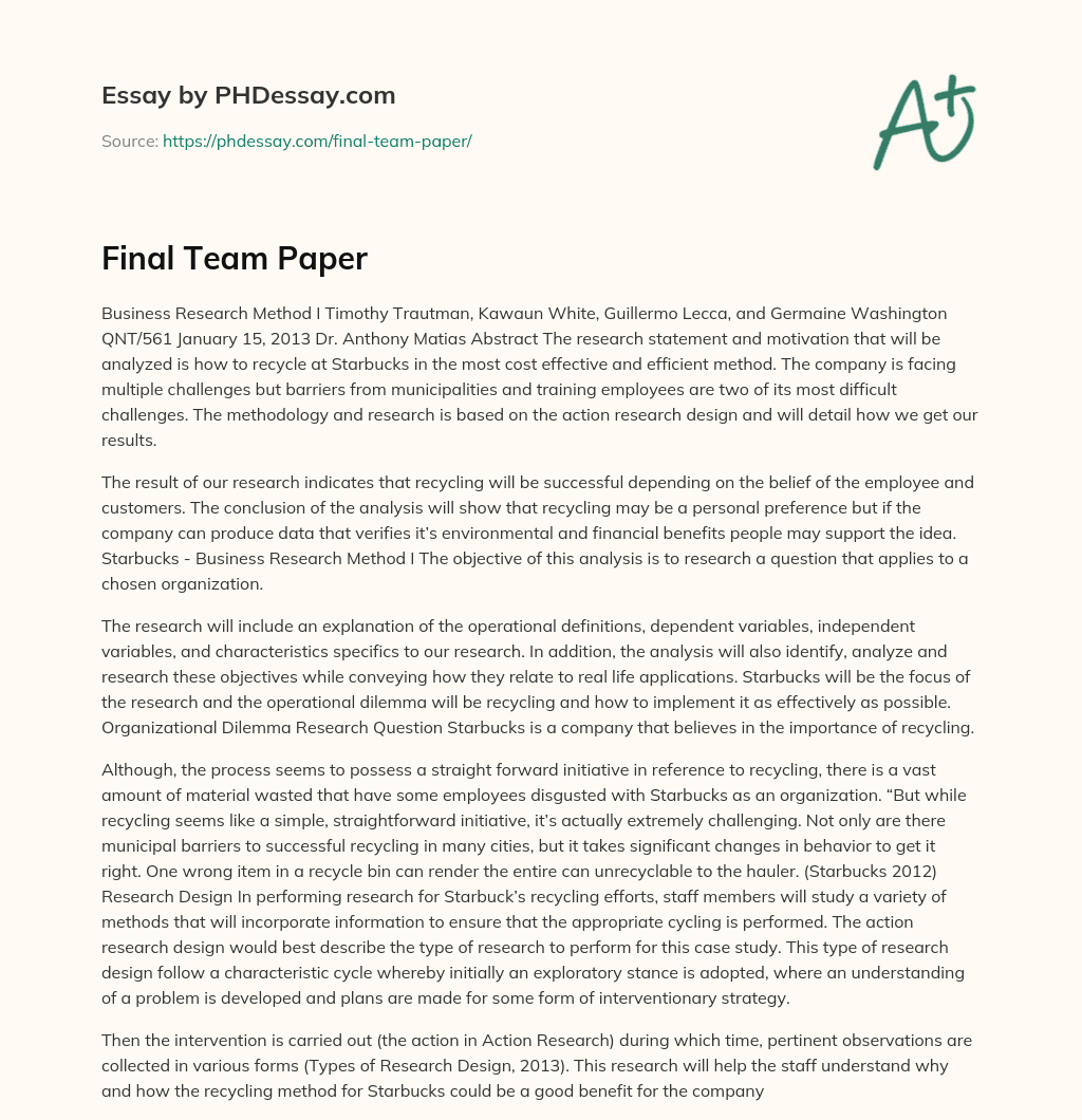 Final Team Paper essay