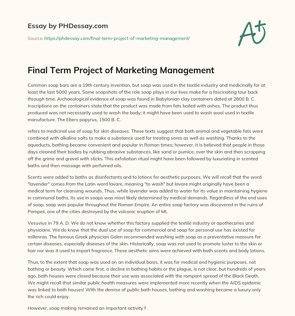 Final Term Project of Marketing Management essay