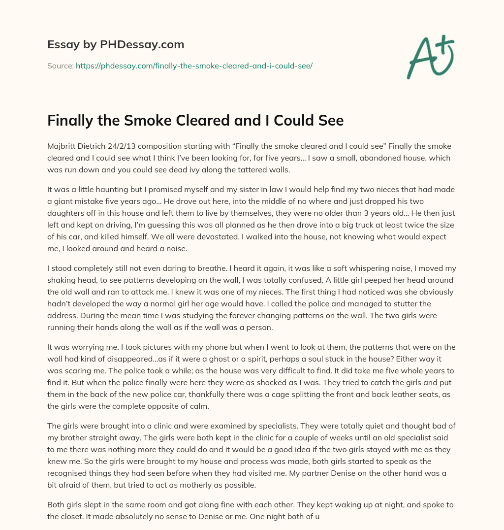Finally the Smoke Cleared and I Could See essay