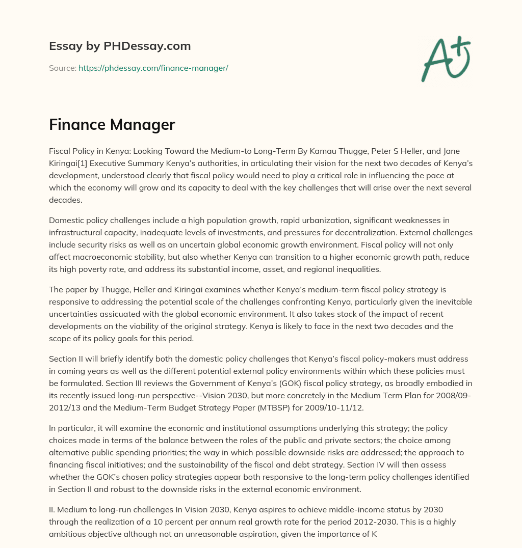 Finance Manager essay