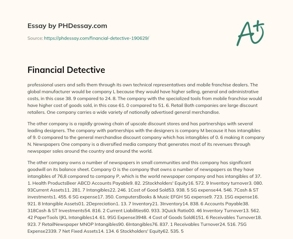Financial Detective essay