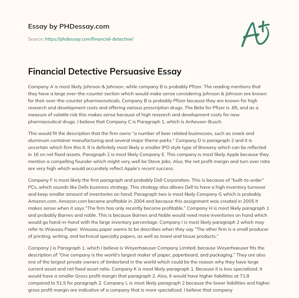 Financial Detective Persuasive Essay essay