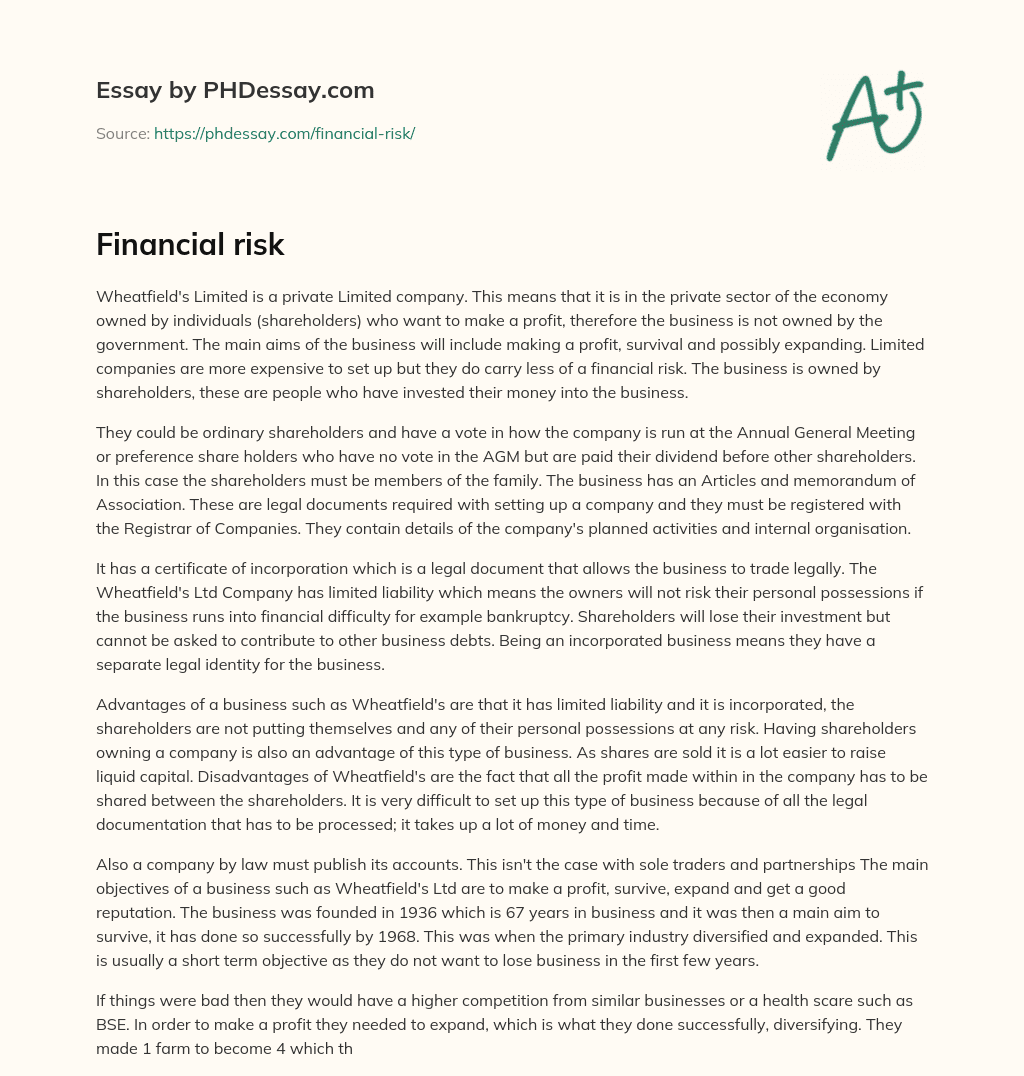 Financial risk essay
