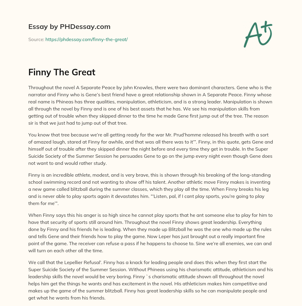 Finny The Great essay