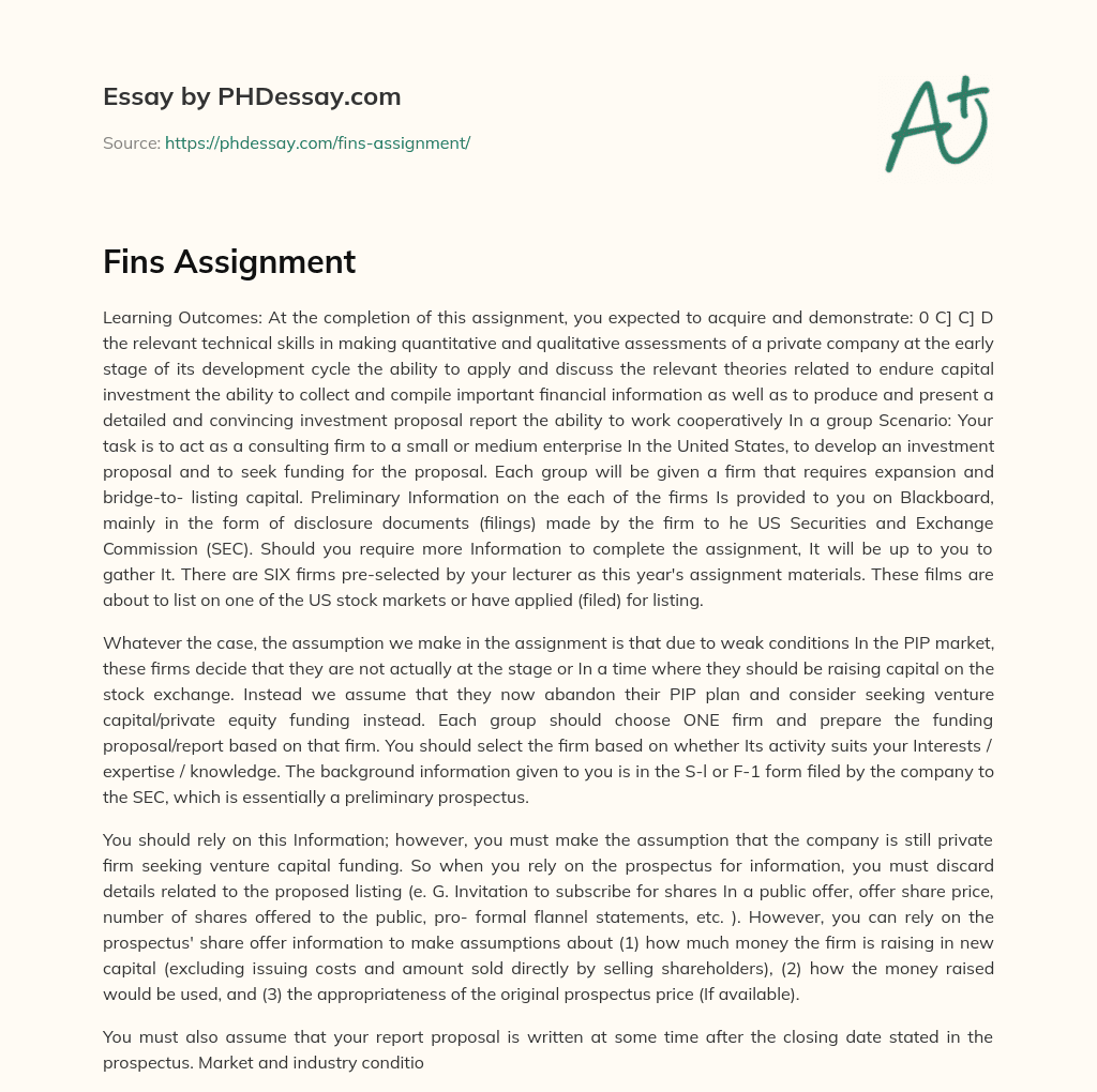 Fins Assignment essay