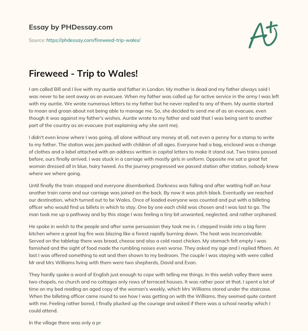 Fireweed – Trip to Wales! essay
