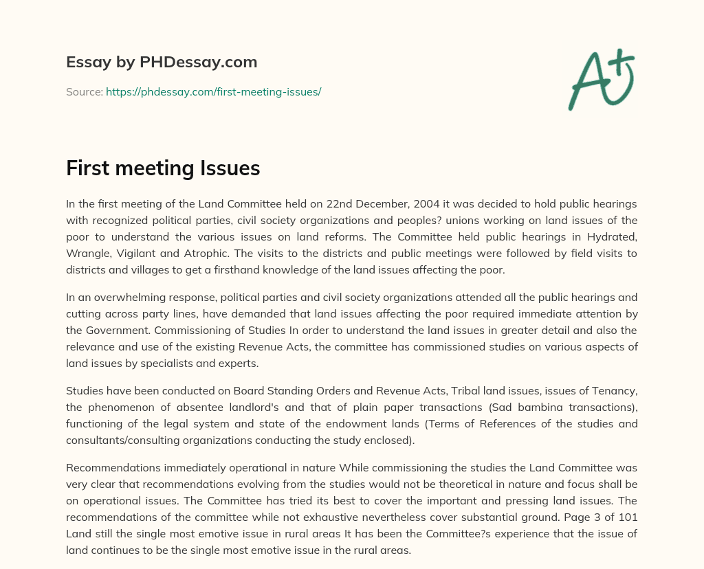 First meeting  Issues essay