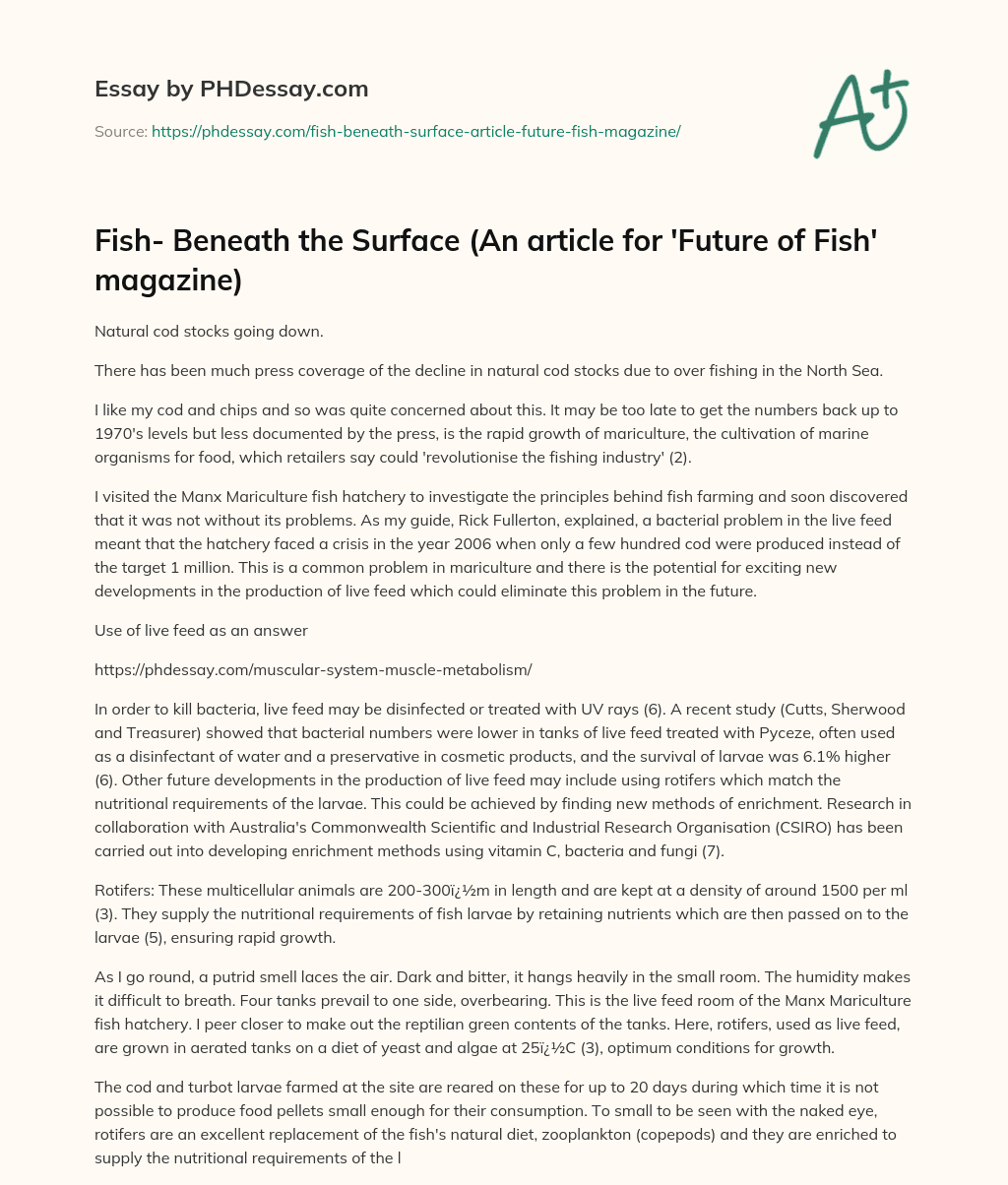 Fish- Beneath the Surface  (An article for ‘Future of Fish’ magazine) essay
