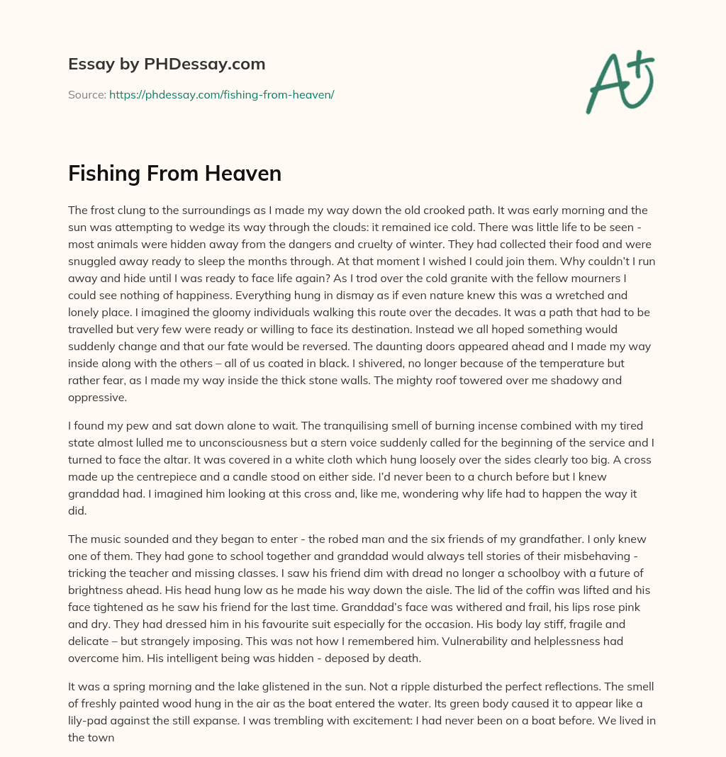 Fishing From Heaven essay