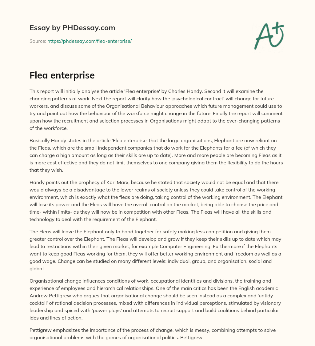 Flea enterprise essay
