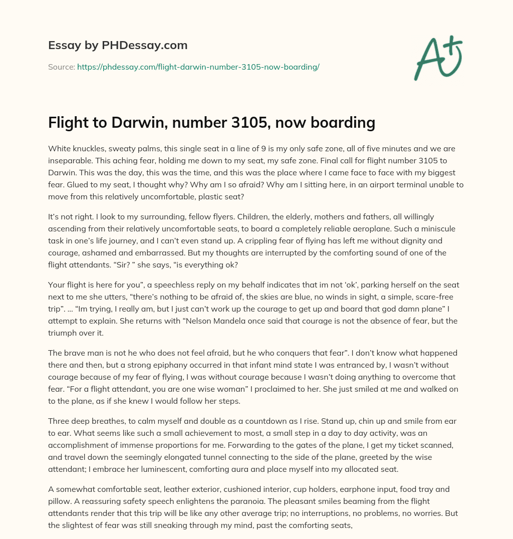 Flight to Darwin, number 3105, now boarding essay