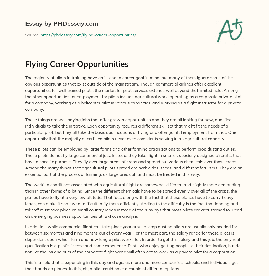 Flying Career Opportunities essay