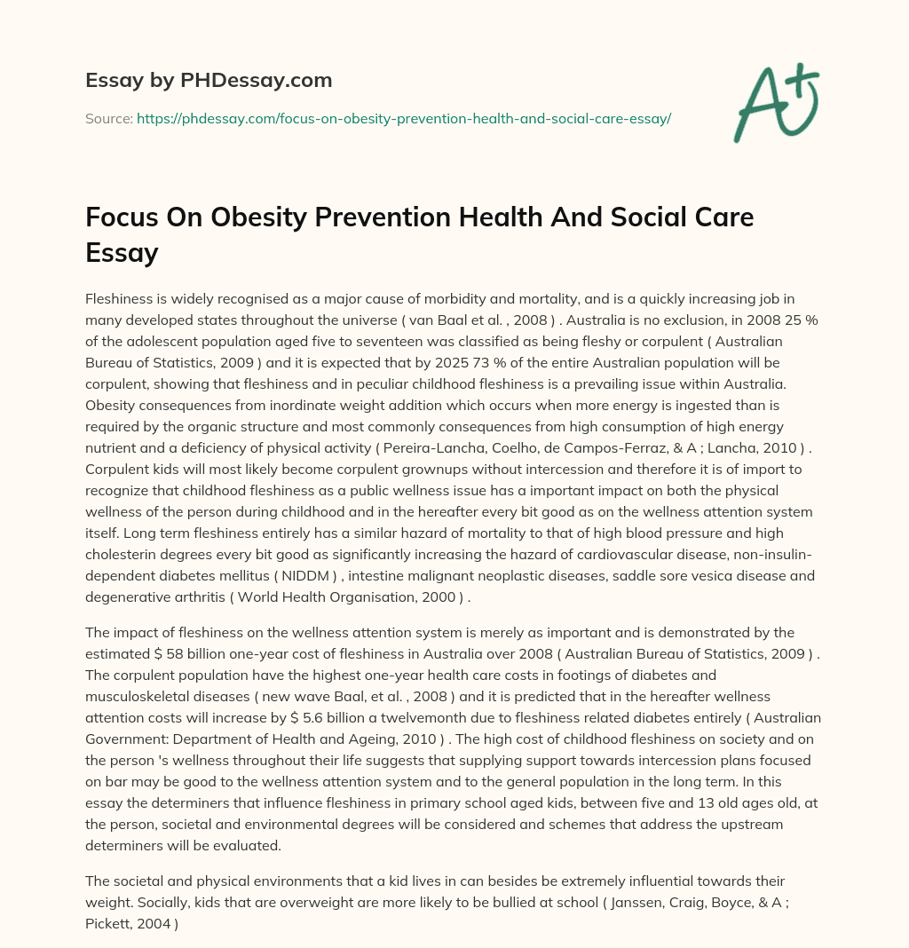 Focus On Obesity Prevention Health And Social Care Essay essay