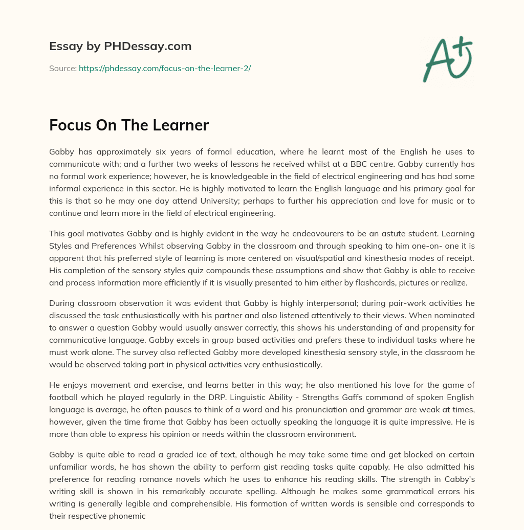 Focus On The Learner essay