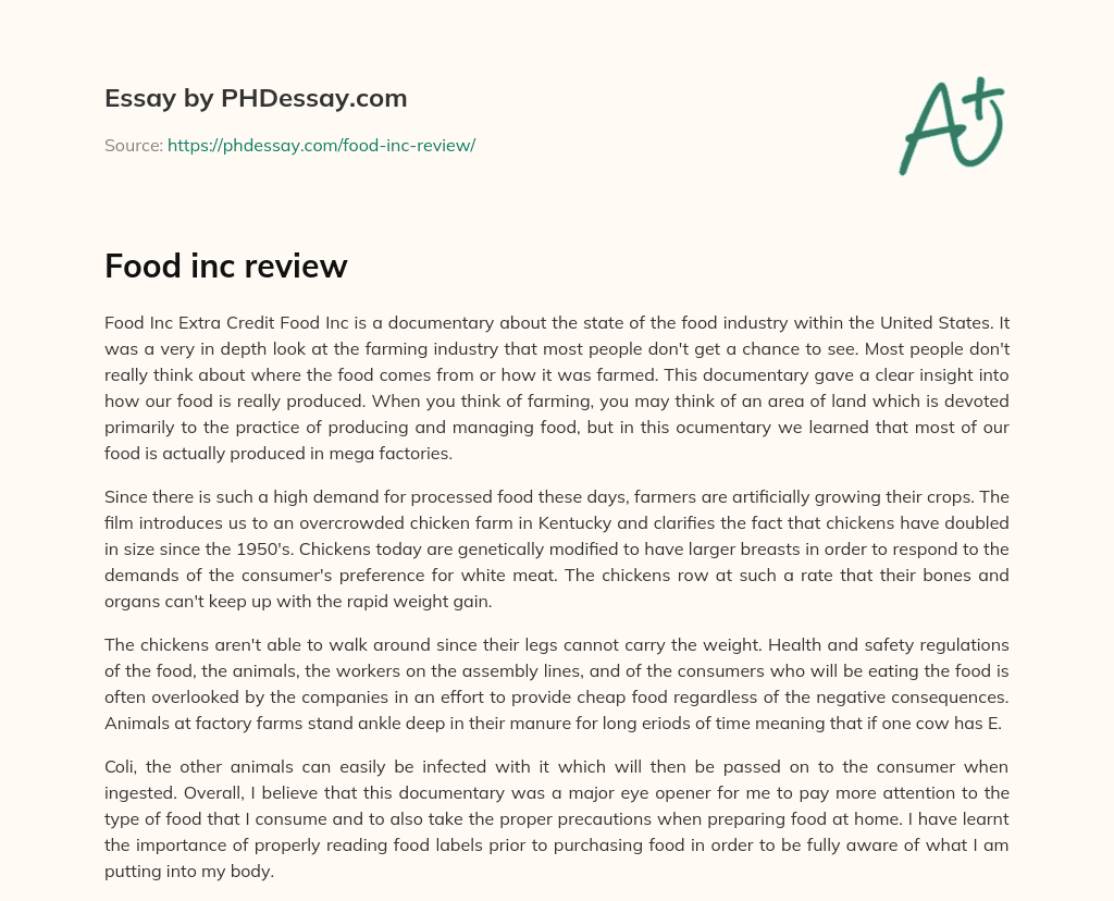 food review essay example