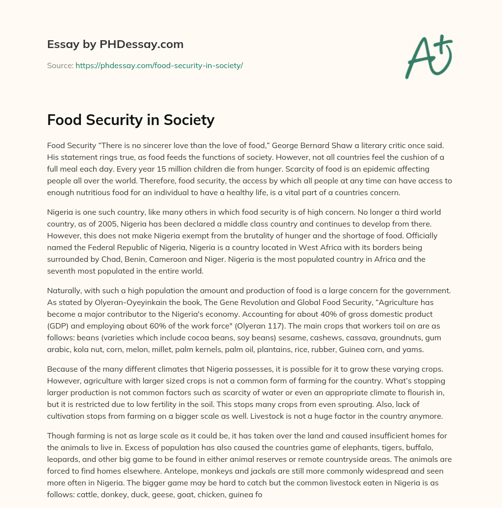Food Security in Society essay