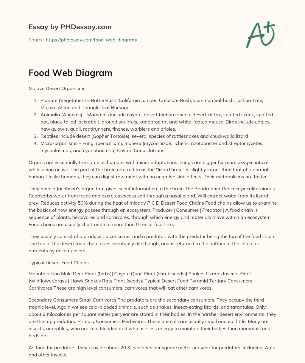 Food Web Diagram essay