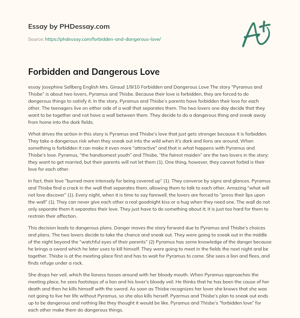 Forbidden and Dangerous Love essay