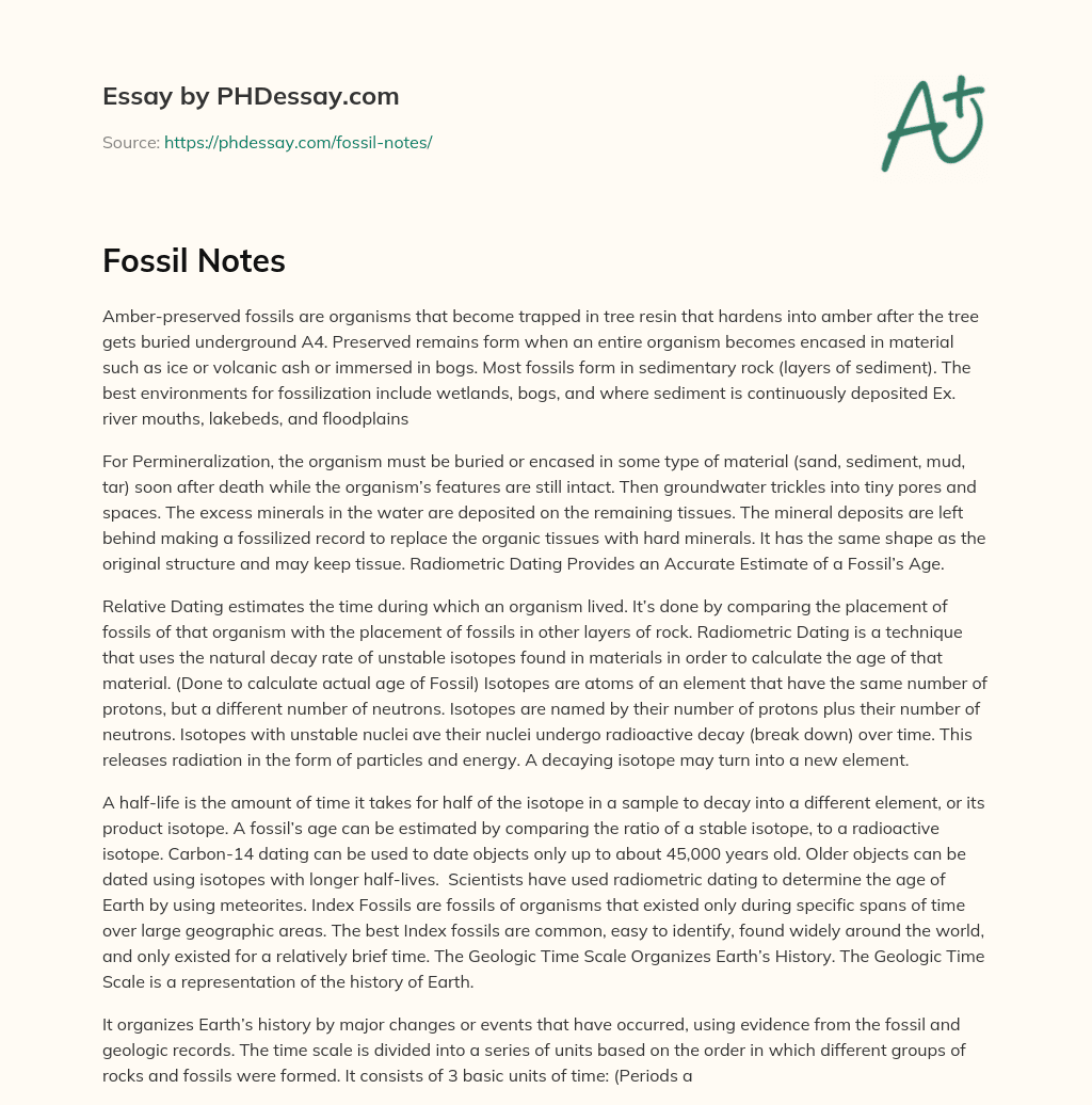 Fossil Notes essay