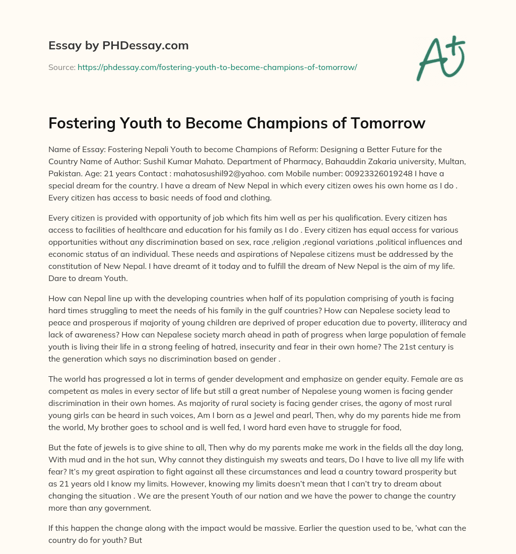 Fostering Youth to Become Champions of Tomorrow essay