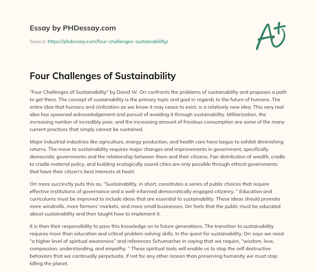 Four Challenges of Sustainability essay