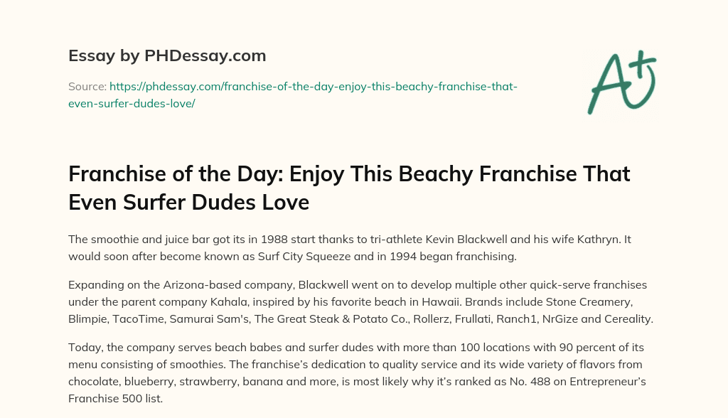 Franchise of the Day: Enjoy This Beachy Franchise That Even Surfer Dudes Love essay
