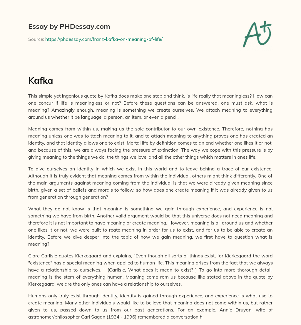 Creating Meaning in Life: The Power of Identity and Experience essay