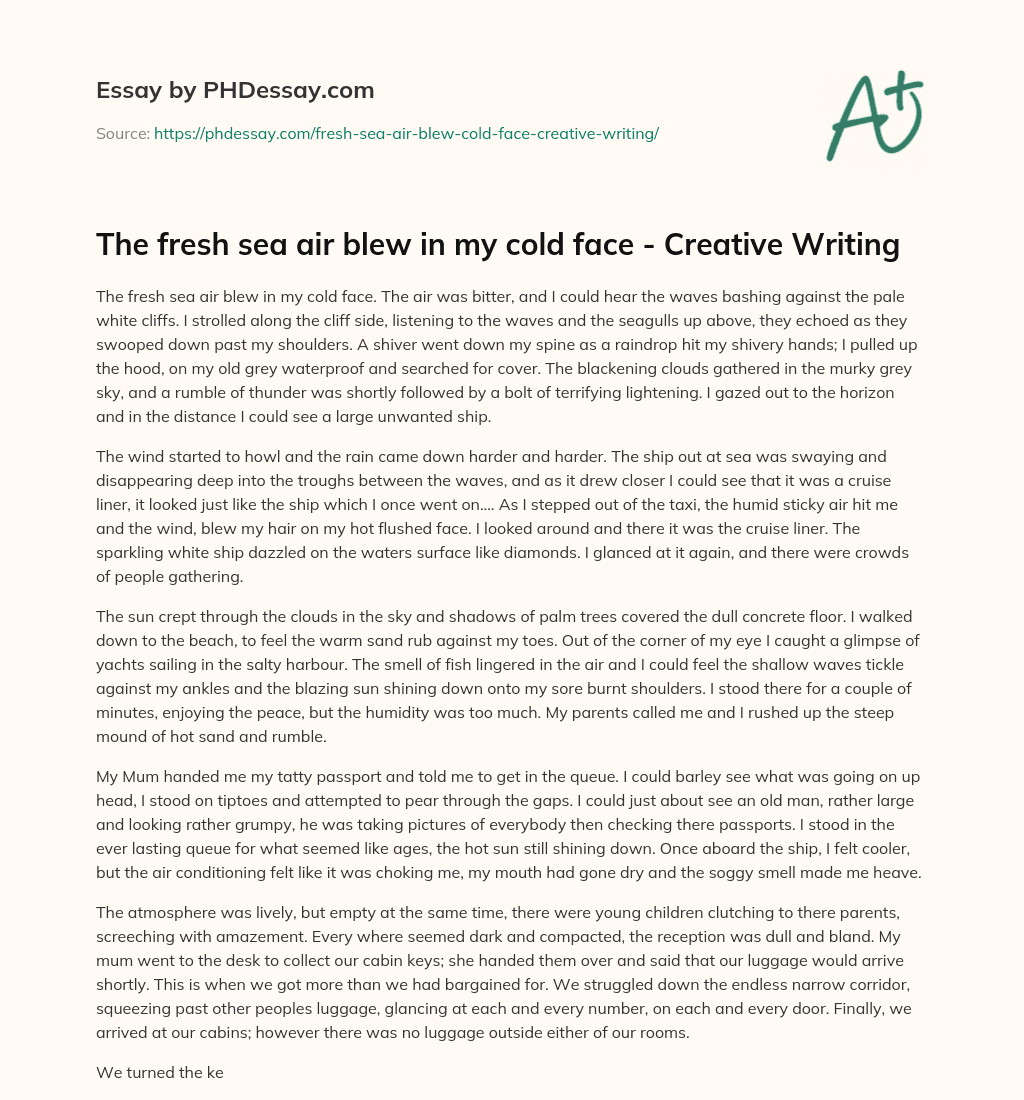 The fresh sea air blew in my cold face – Creative Writing essay