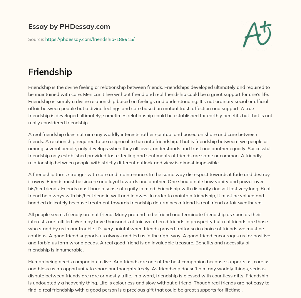 The Importance and Characteristics of True Friendship essay