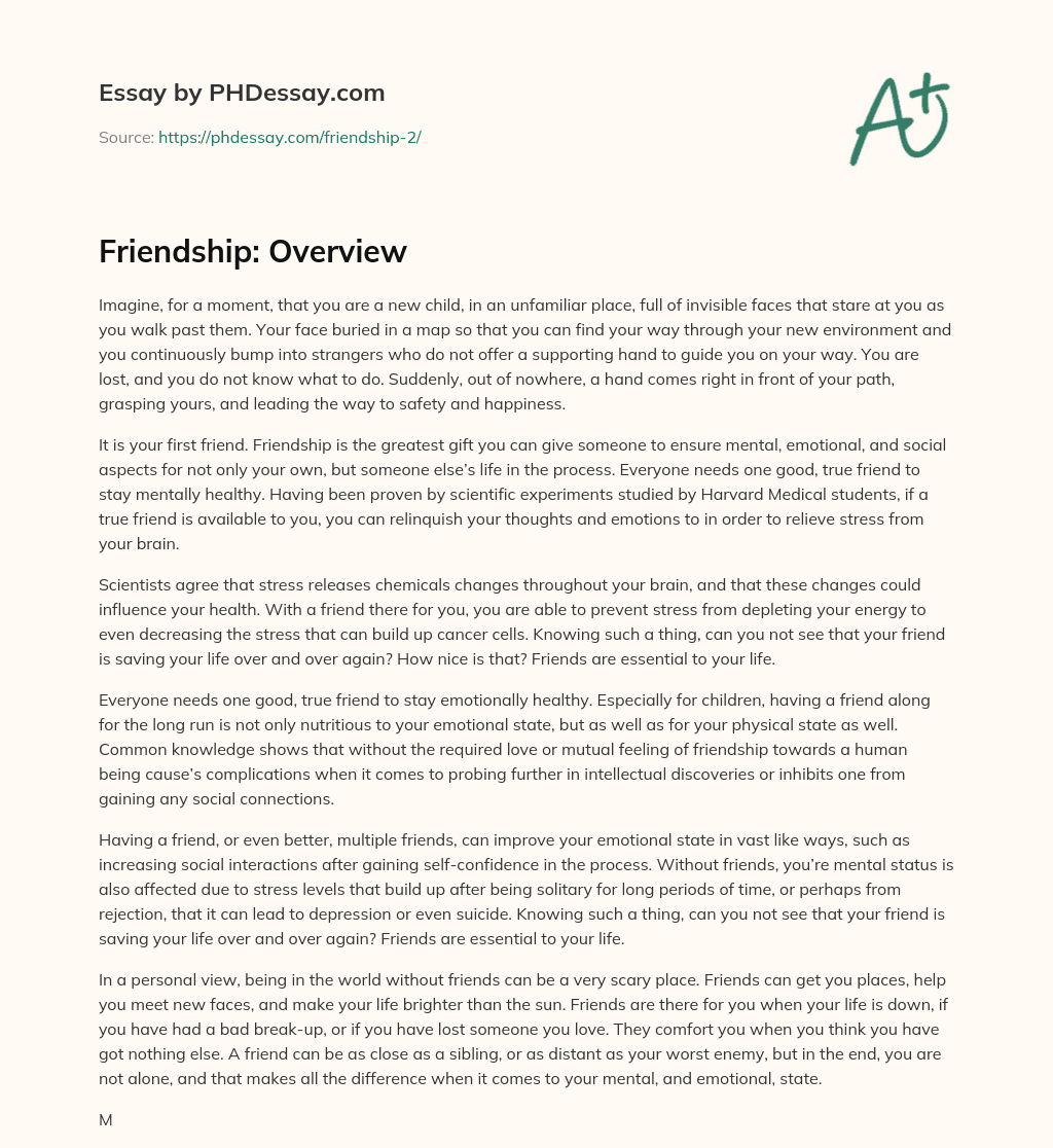 Friendship: Overview essay