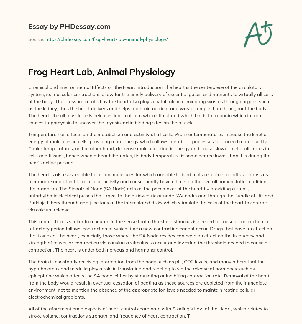 Frog Heart Lab, Animal Physiology essay