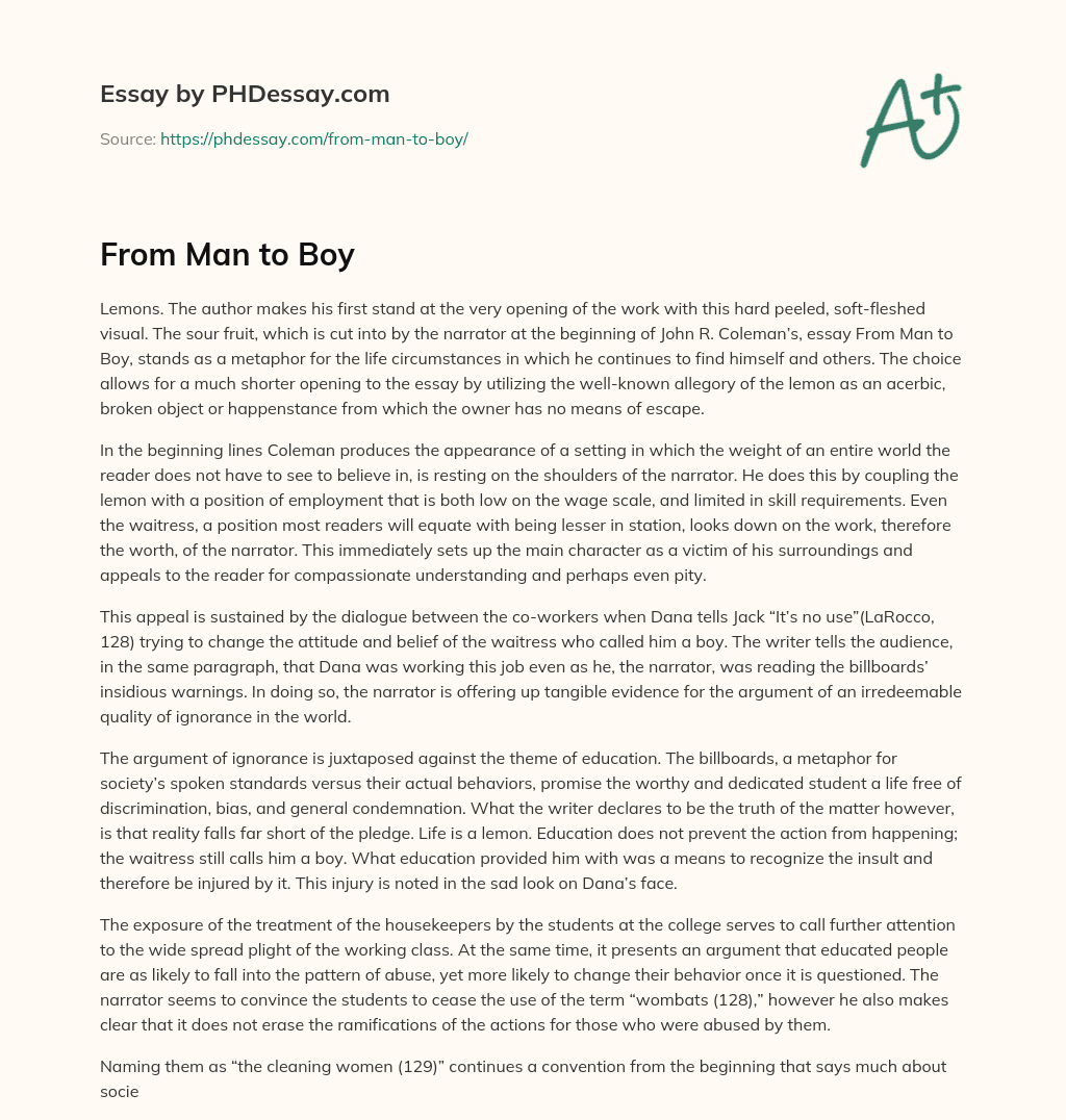 From Man to Boy essay