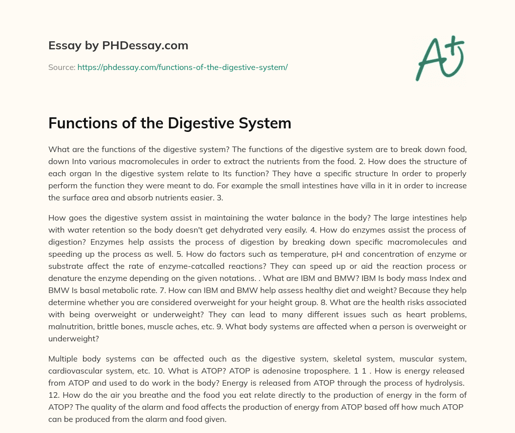 functions of digestive system essay