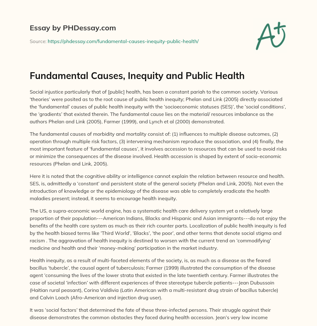 Fundamental Causes, Inequity and Public Health essay