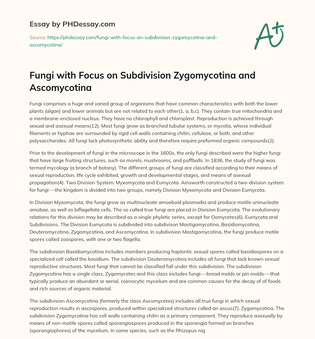 Fungi with Focus on Subdivision Zygomycotina and Ascomycotina essay