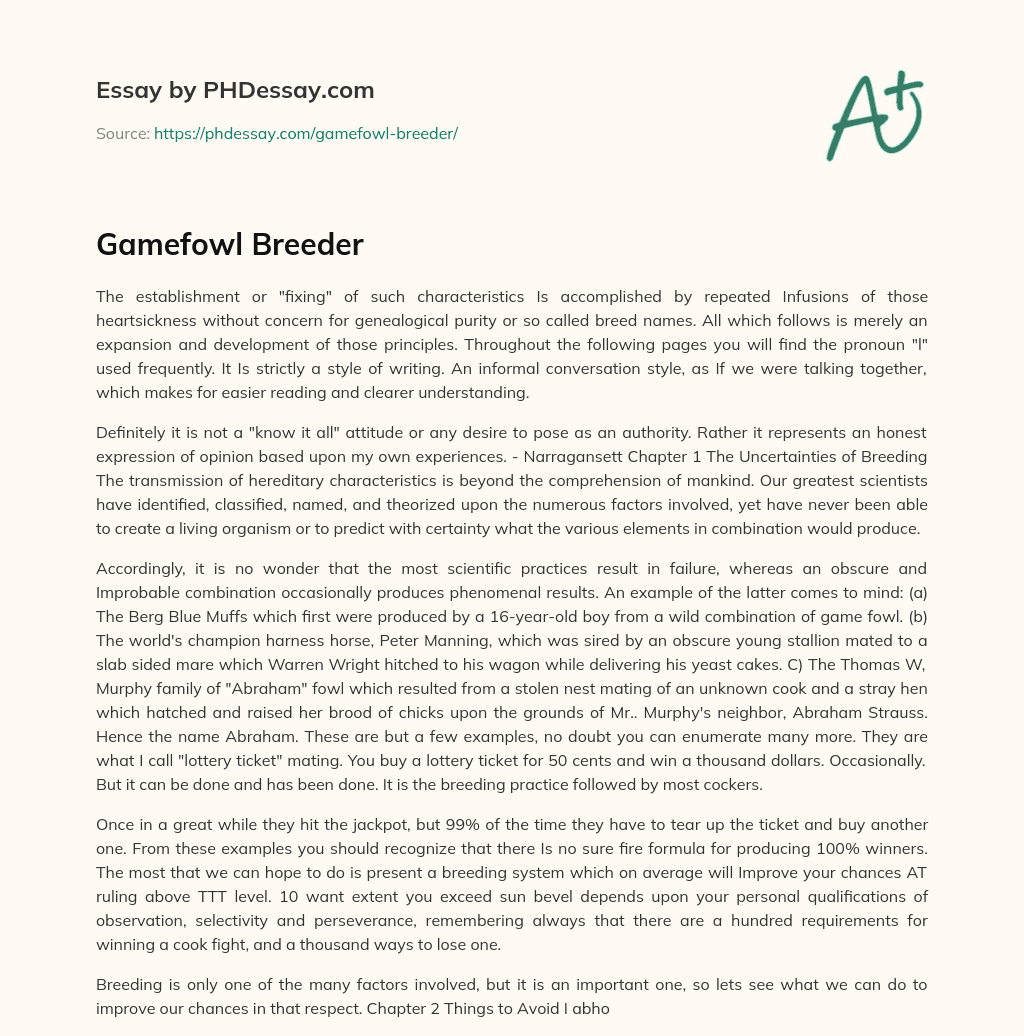 Gamefowl Breeder essay