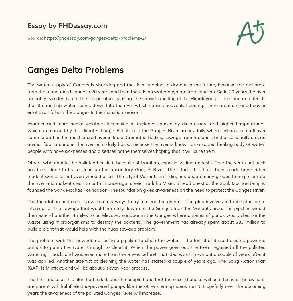 Ganges Delta Problems essay