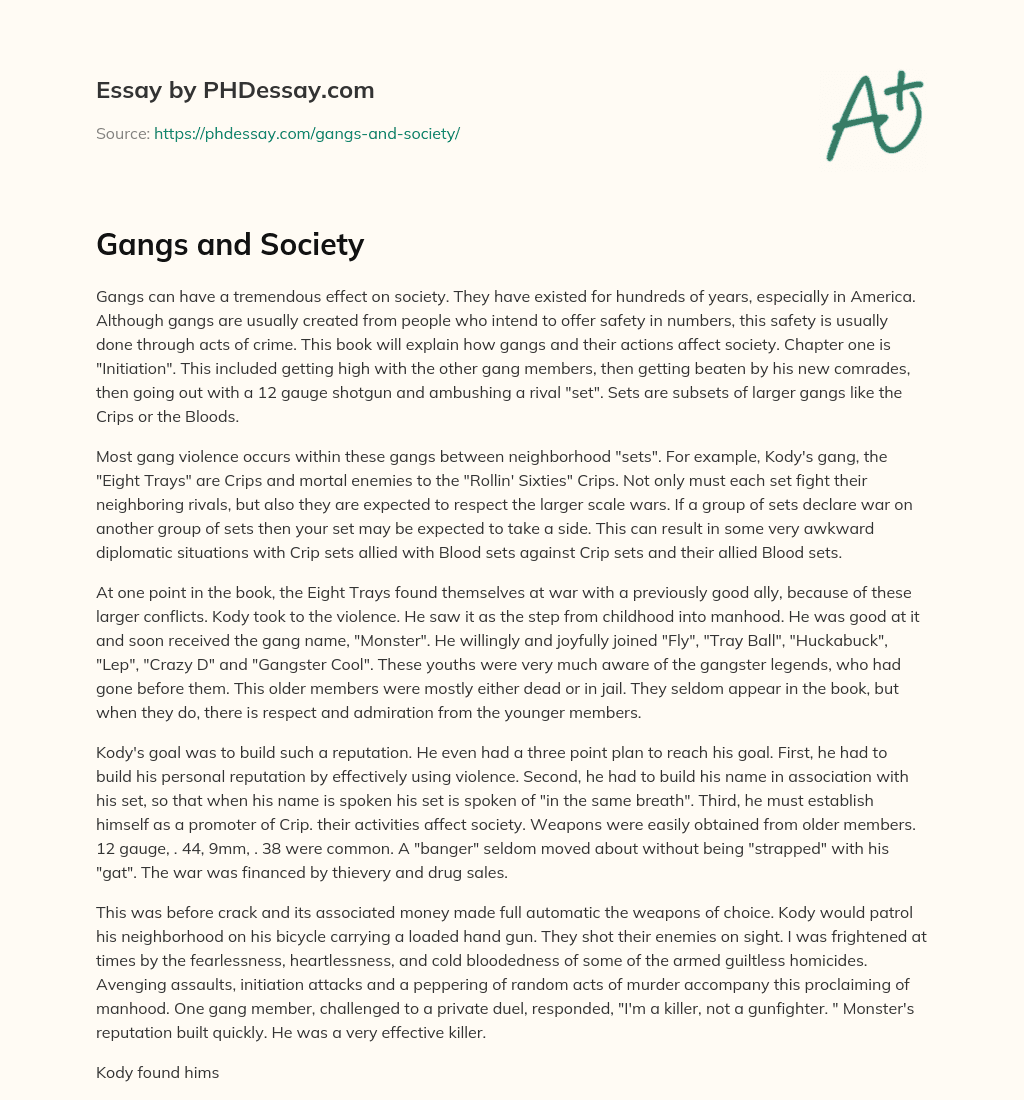 Gangs and Society essay