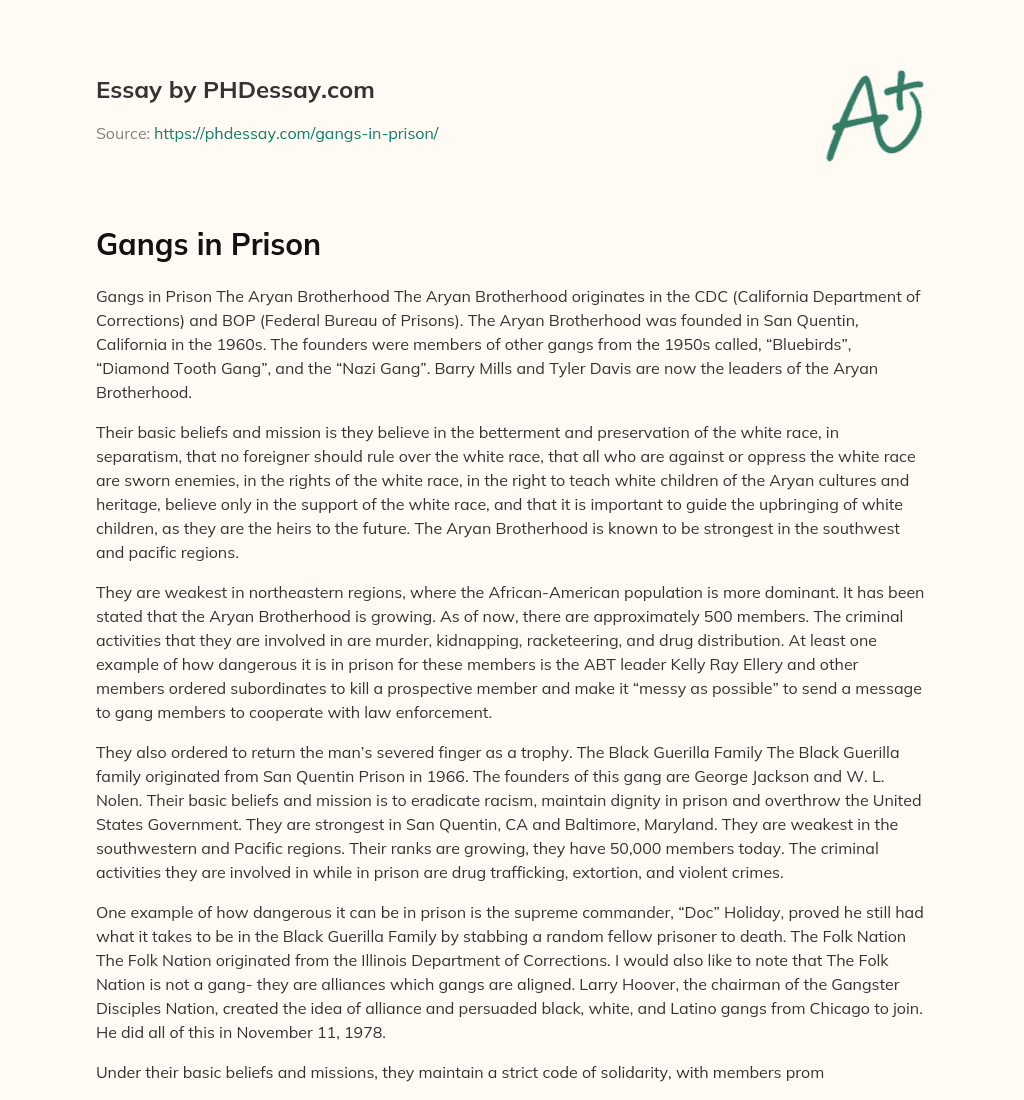 Gangs in Prison essay