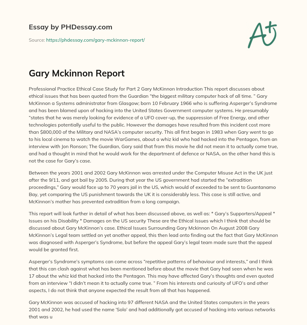 Gary Mckinnon Report essay
